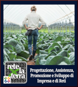 Laboratorio per lo Sviluppo di Impresa Laboratorio per lo Sviluppo di Impresa